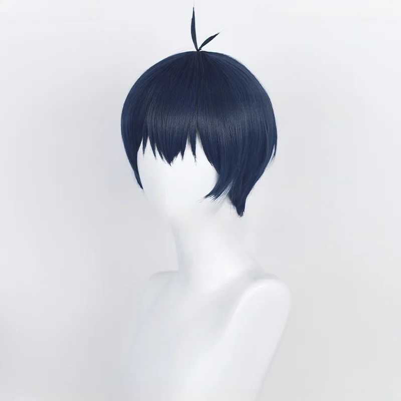 Anime Isagi Yoichi Cosplay Wig - огляд і ціна Anime Cosplay Duo