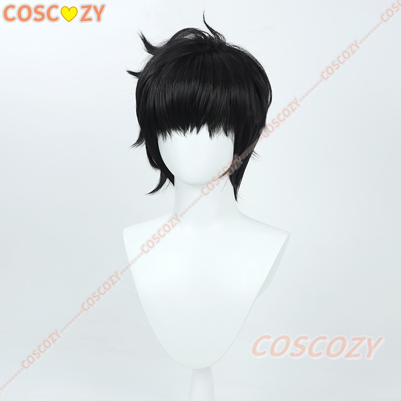 Sung Jinwoo Cosplay Wig from A - огляд і ціна Cosplay Anime Solo