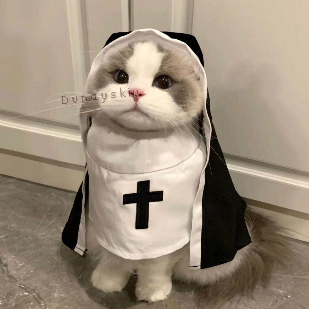 Christmas Pet Dog Cat Cosplay  - огляд і ціна Anime Cosplay Nun